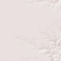 Mediapolis Terrain Map