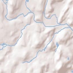 Bloomingdale Terrain Map