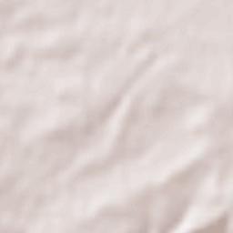 Moriscos Terrain Map