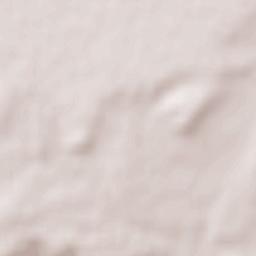 Aldealengua Terrain Map