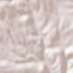 Monasterio Terrain Map