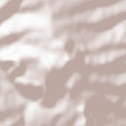 Monteverde Terrain Map