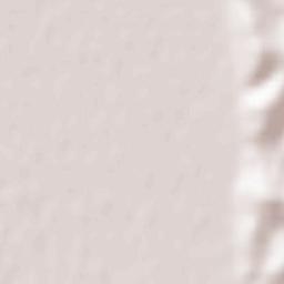 Divjakë Terrain Map