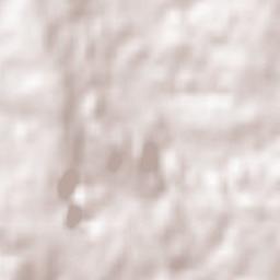 Santa Maria da Feira Terrain Map