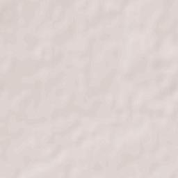 San Vicente de Arévalo Terrain Map