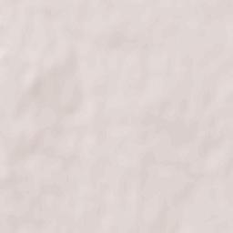 Casamassima Terrain Map