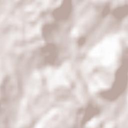 Milheirós de Poiares Terrain Map