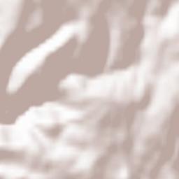 Castro Daire Terrain Map