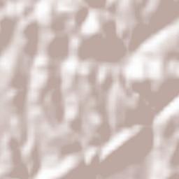 Tortuero Terrain Map