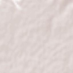 Mirabueno Terrain Map