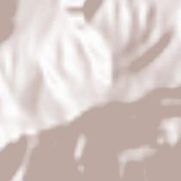 Palaiochóri Terrain Map