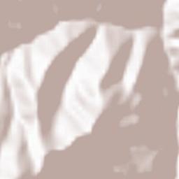 Şalpazarı Terrain Map