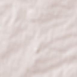 Muñopedro Terrain Map