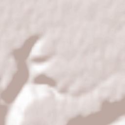 Argecilla Terrain Map