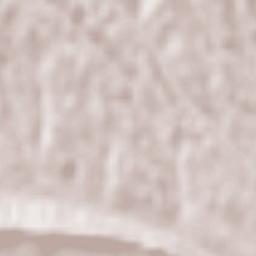 Villanueva del Rebollar de la Sierra Terrain Map