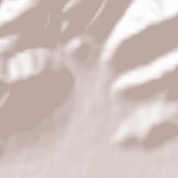 Çilimli İlçesi Terrain Map