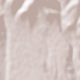 Merzifon İlçesi Terrain Map