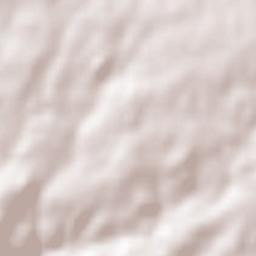 Vila Nova de Paiva Terrain Map