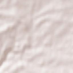 San Felices de los Gallegos Terrain Map