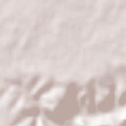 Alaminos Terrain Map