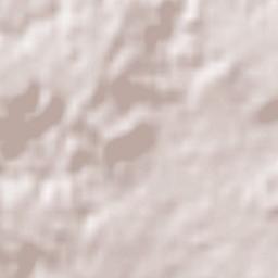 San Carlo All'Arena Terrain Map