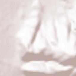 Palma Campania Terrain Map