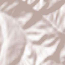 Ruvo del Monte Terrain Map