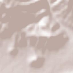 Shirakamut Terrain Map