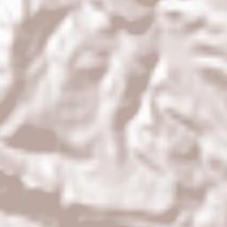 Torre de las Arcas Terrain Map