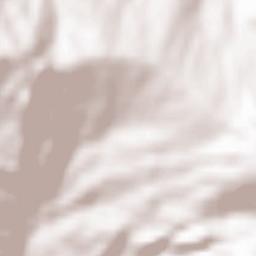 Centro Urbano Terrain Map