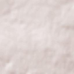 Altamura Terrain Map