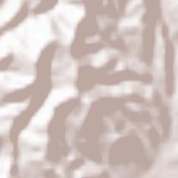 Bashkia Kuçovë Terrain Map