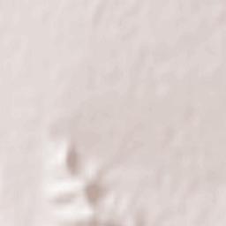 Shamkhor Terrain Map