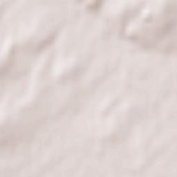 Santiago de la Puebla Terrain Map