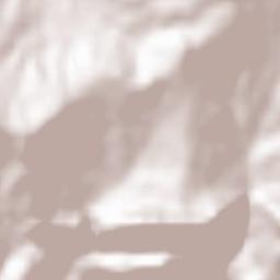 Castelgrande Terrain Map