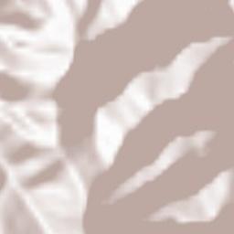 Köprübaşı Terrain Map