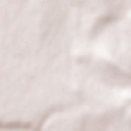 Carrascal del Obispo Terrain Map