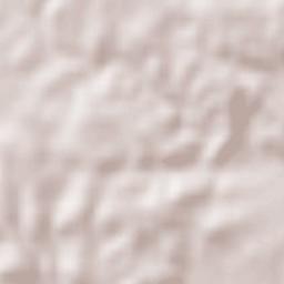 Buenavista Terrain Map