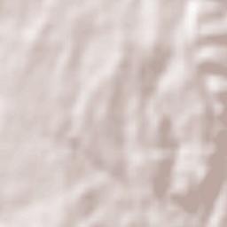 El Vellón Terrain Map