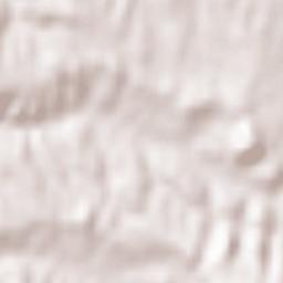 Ciruelas Terrain Map