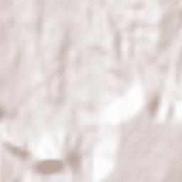 Cañizar Terrain Map