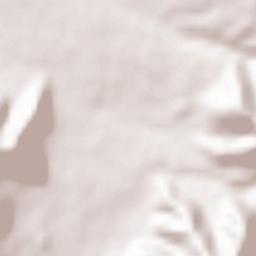 Fisciano Terrain Map