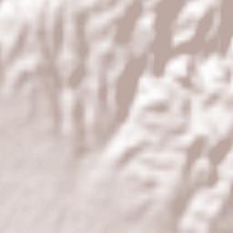 Kolchikón Terrain Map