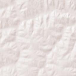 Wayne County Terrain Map