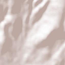 Carnicães Terrain Map