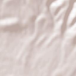 Mezquita de Jarque Terrain Map