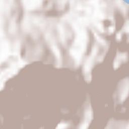 Casamicciola Terme Terrain Map