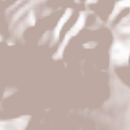 Prepezzano Terrain Map