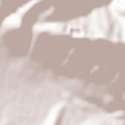 Fioletovo Terrain Map