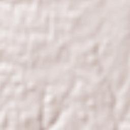 Albergaria-a-Velha Terrain Map